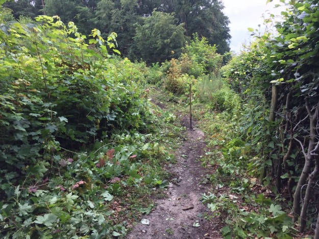 routewerk-20160713-3