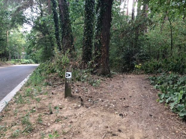 5f3503f7-32c8-43a5-8c07-9d34b69624dd