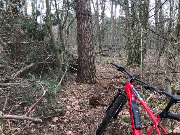 1c63b28a-f962-4c1b-bda5-d7ae5094657f