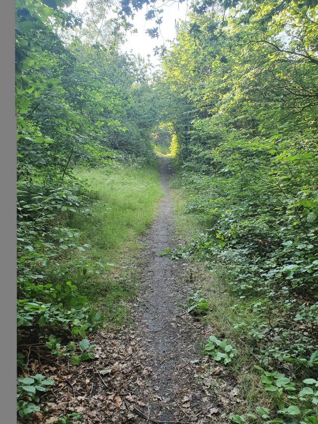 32206067-8061-411e-bb04-544b6bb2b75f