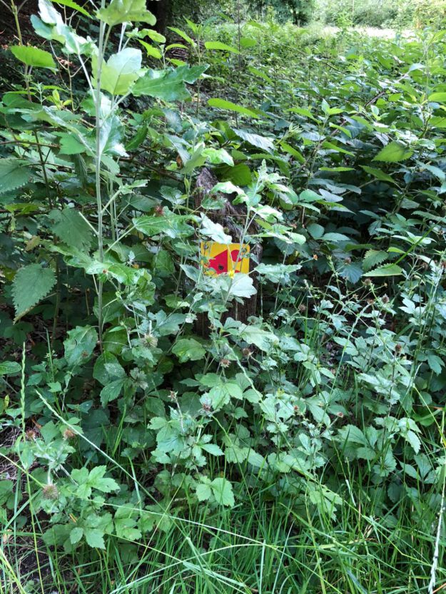 aeb80d04-3824-4b4c-9542-a8ec721cf58a