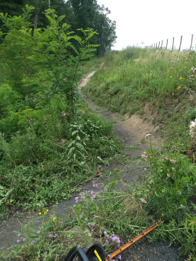 78963b3f-ae93-4520-834b-f26b6cabdf89